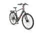 Graues E-Bike mit roten Akzenten, Gepäckträger und Schutzblechen.