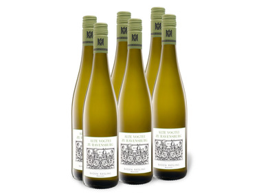 6 x 0,75-l-Flasche Weinpaket Alte Vogtei zu Ravensburg Baden Riesling QbA trocken, Weißwein
