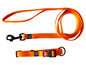 Ein orangefarbenes Hundehalsband und eine Leine der Marke Ruffwear.