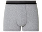 Graue Boxershorts mit schwarzem Bund.