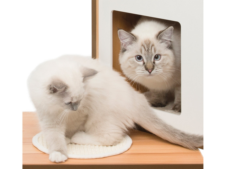 Gehe zu Vollbildansicht: catit Vesper Katzenmöbel »Double«, H 103,5 cm, walnussfarben - Bild 3