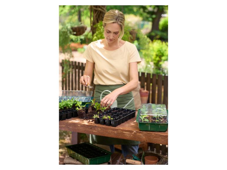 Anzuchtkasten-Set, 12-teilig