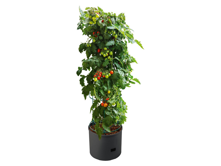 Gehe zu Vollbildansicht: PARKSIDE Tomaten-Pflanzgefäß, Ø 37,5 cm, mit Rankhilfe - Bild 1