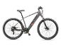 Graues E-Mountainbike mit schwarzen Reifen und einem rot-schwarzen Logo am Rahmen.