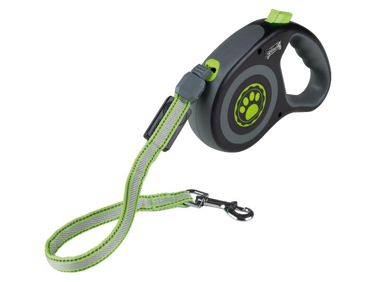 Graue und grüne einziehbare Hundeleine