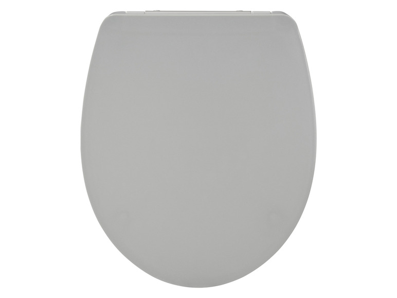 Ein grauer Toilettensitz