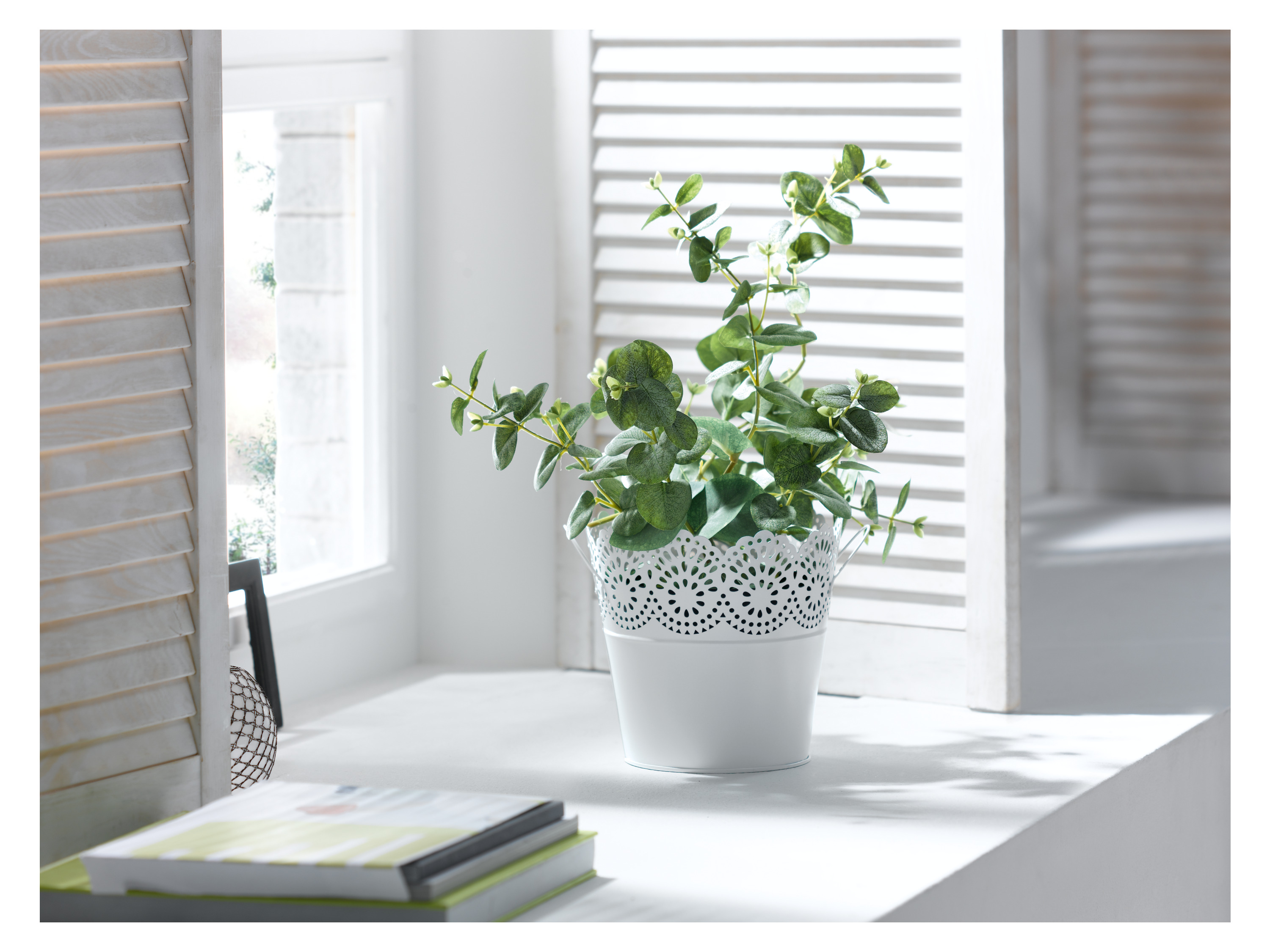 Thumbnail - LIVARNO home Blumentöpfe Nostalgie (rund groß weiß)