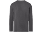 Dunkelgraues Herren-Langarmshirt, Rückansicht