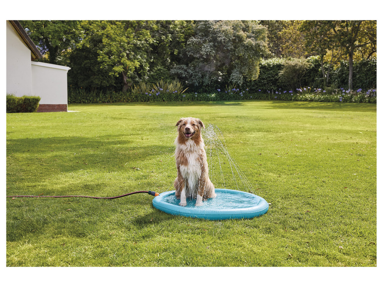 Gehe zu Vollbildansicht: zoofari® Hunde Wasserspielmatte, Ø 100 cm, zusammenfaltbar - Bild 4