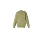 Grünes Sweatshirt von hinten mit langen Ärmeln und elastischen Bündchen.