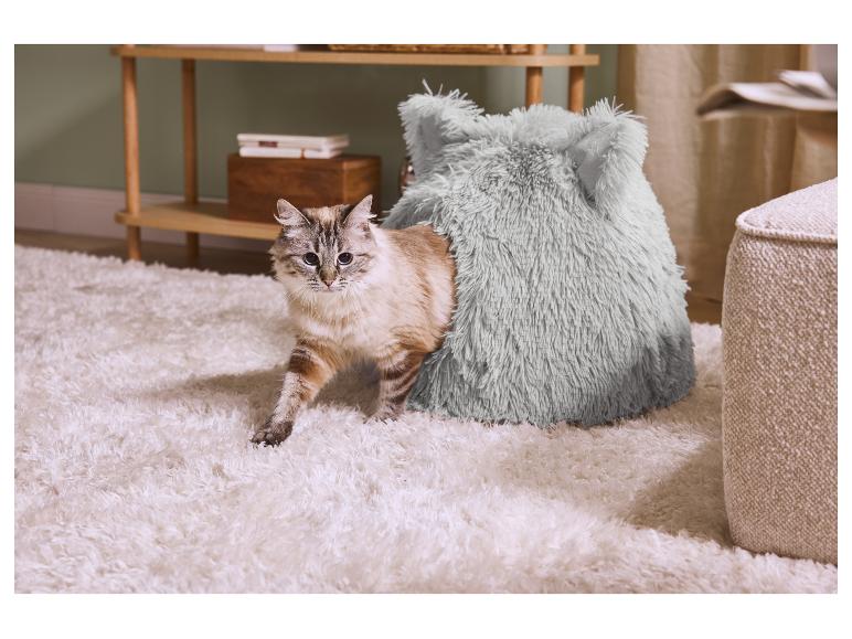 Eine Katze kommt aus einem flauschigen, weichen Bett auf einem weißen Teppich, neben einem Holzregal.