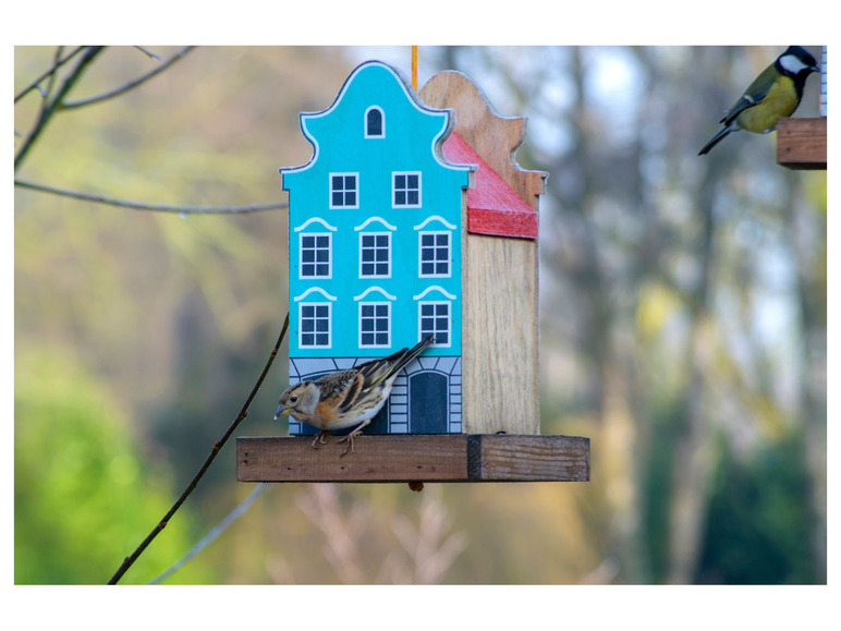 Ein blaues Vogelhaus mit einem Buchfink darauf und einer Blaumeise daneben.