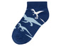 Blaue Socken mit Dinosauriermotiven