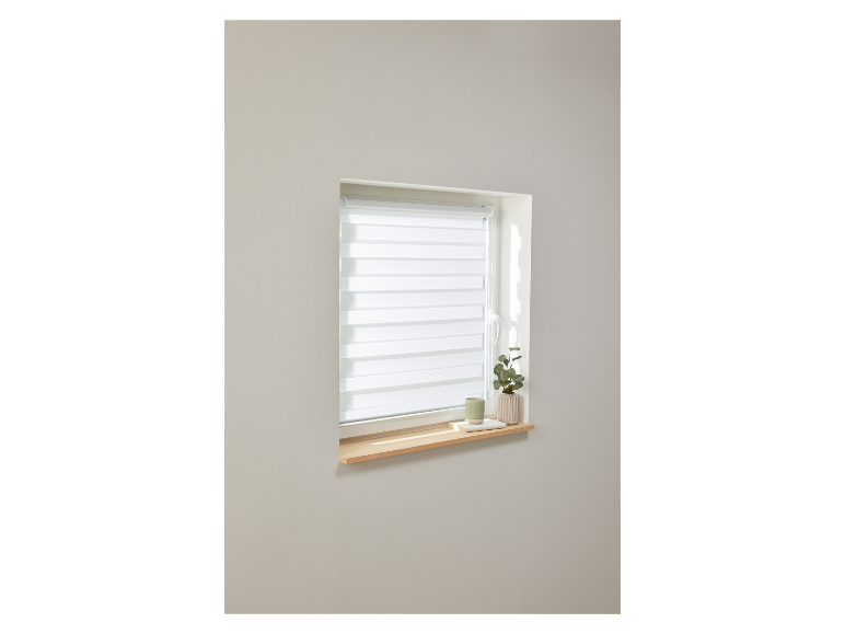 Fenster mit weißen Tag- und Nachtrollos, einer Pflanze und einer Tasse auf der Fensterbank.