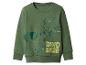 Grünes Sweatshirt mit Dinosaurier-Print und dem Text „DINO SAUR“.