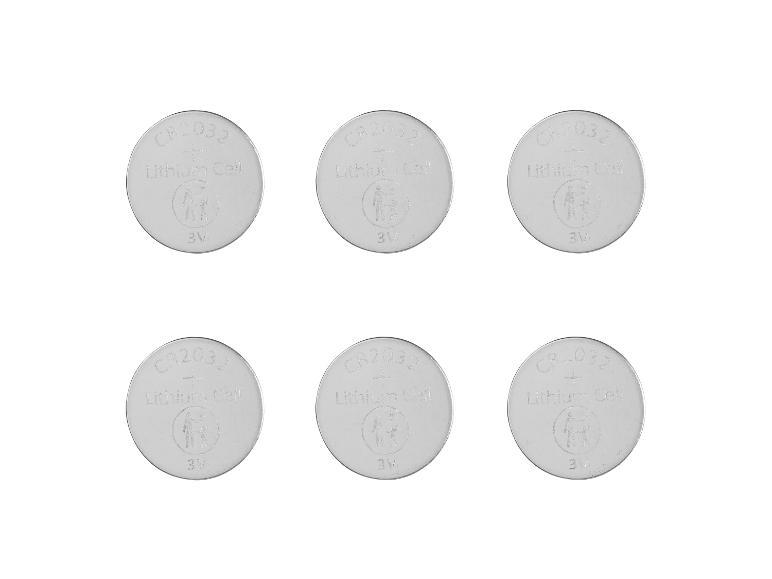 Sechs runde CR2032 Lithium-Batterien.