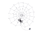 Halloween Spinnennetz-Dekoration mit Spinne und Lichtern
