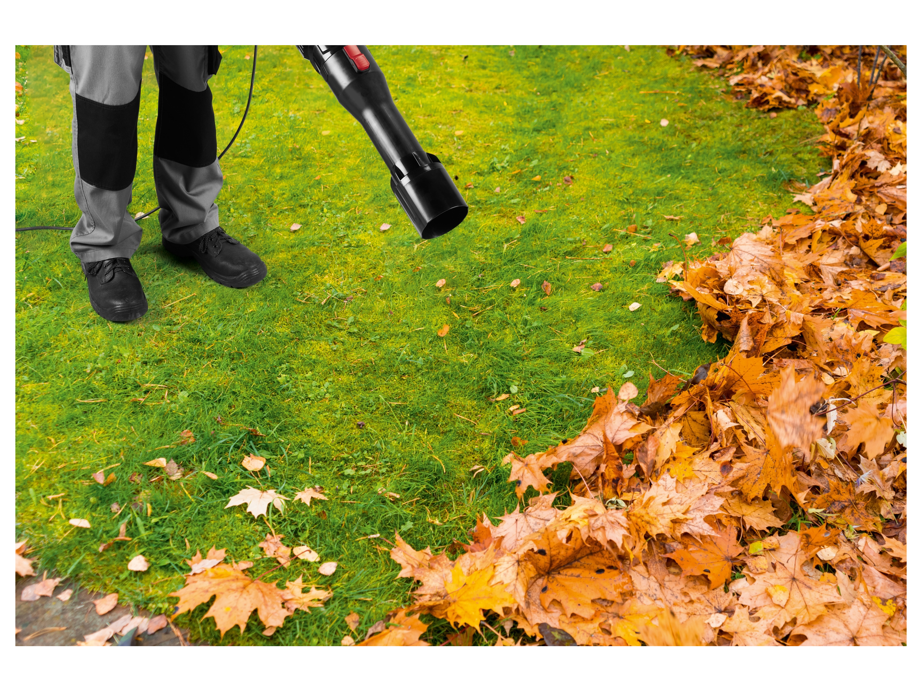 Thumbnail - PARKSIDE PERFORMANCE® Elektro-Axial-Laubbläser »PPELB 1650 A1«, inkl. Rund- und Flachdüse