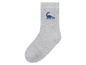Graue Socke mit einem Dinosaurier.