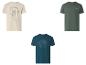 Drei Herren-T-Shirts: beige mit Schildkröte, grün mit 'Thrive in the unknown' und blau mit 'Sunshine'.