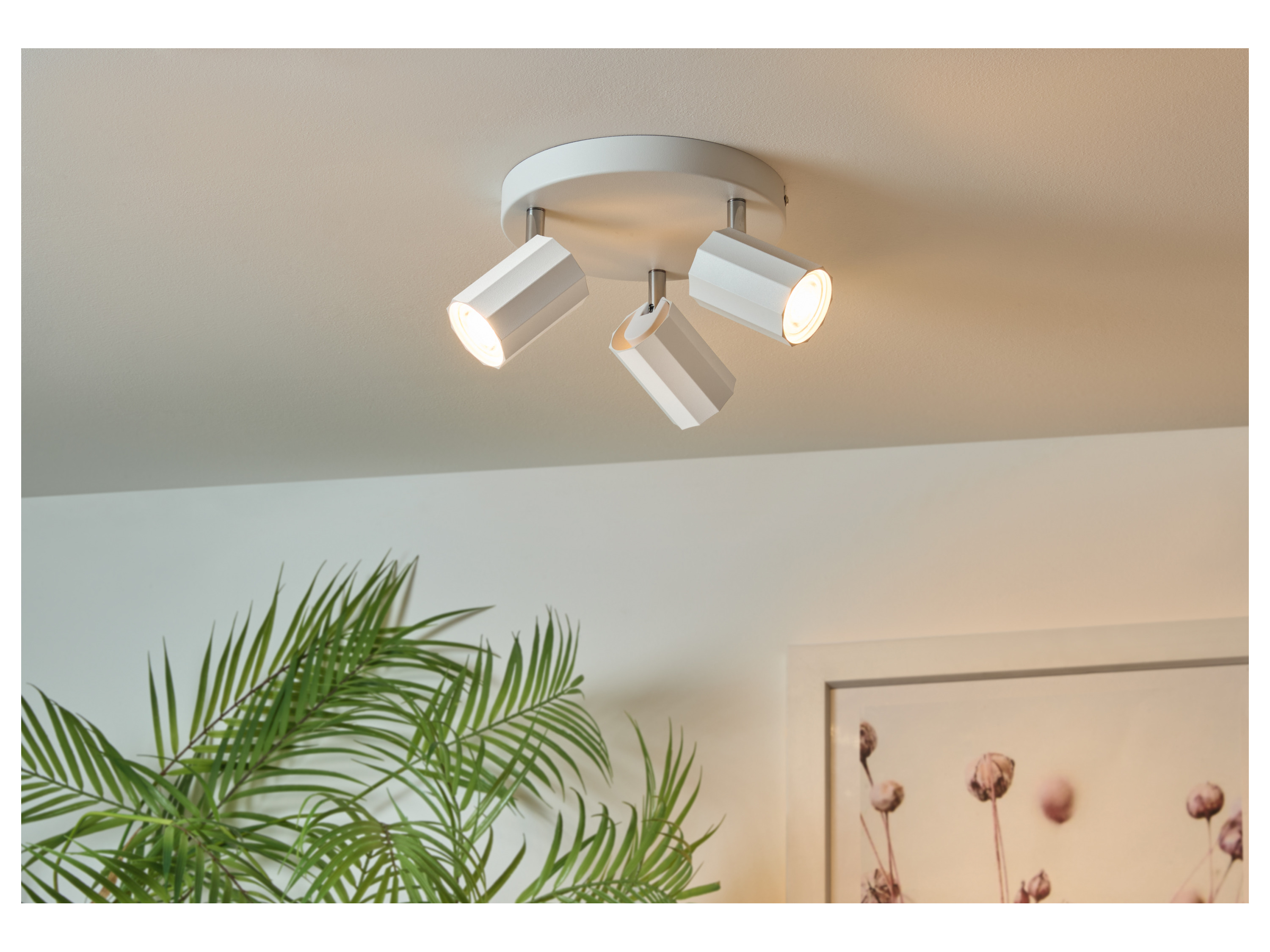 Thumbnail - LIVARNO home Deckenstrahler / Schienenleuchte, mit 3 neig- und schwenkbaren Spots (Deckenstrahler, mattweiß)