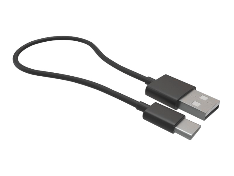 Kurzes schwarzes USB-C-zu-USB-A-Kabel zum Laden und zur Datenübertragung.