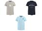 Sommer-T-Shirts mit Strandmotiven: ein beiges 'Summer State', ein marineblaues 'Beach Club' und ein hellblaues mit Palmen.