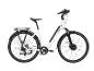Weißes E-Bike mit schwarzen Schutzblechen und Gepäckträger.