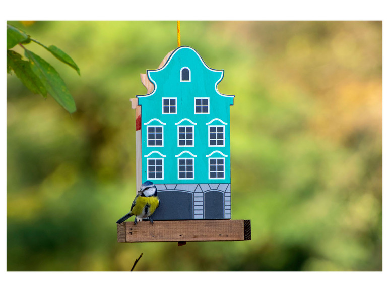 Ein blauer Vogel an einem Vogelhaus in Form eines Hauses.