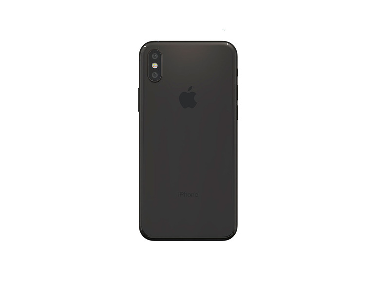 256GB Gray Renewd® Apple iPhone X Space
