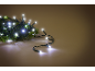 Helle weiße LED-Weihnachtslichterkette um einen grünen Kiefernzweig gewickelt