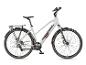 Hellgraues E-Bike mit Gepäckträger und schwarzen Reifen.