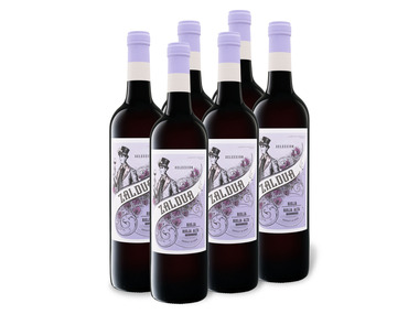 6 x 0,75-l-Flasche Weinpaket Zaldua Selección Rioja Alta DOC trocken, Rotwein