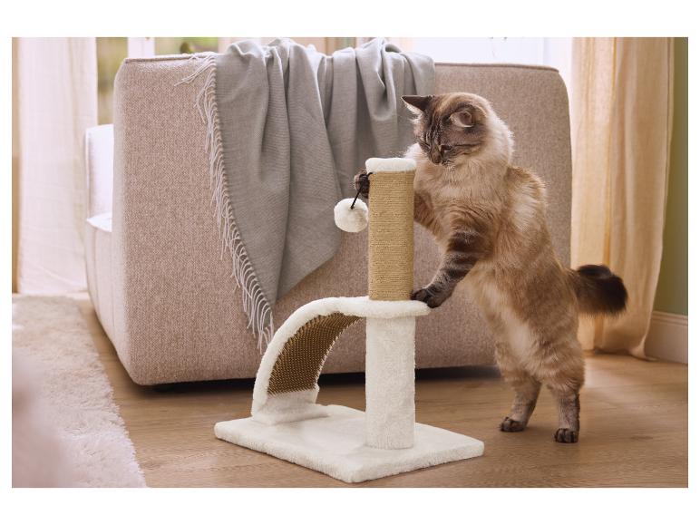 Katze spielt mit einem Kratzbaum mit Pompons in einem Wohnzimmer.
