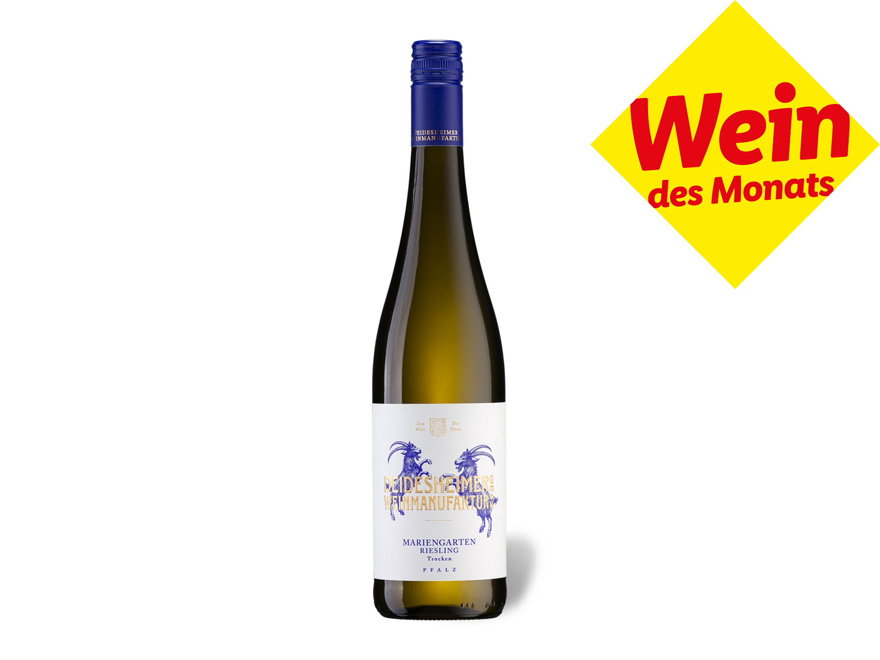 Lidl Wein-Angebot - Deidesheimer Weinmanufaktur Forster Mariengarten Riesling Pfalz QbA trocken, Weißwein 2024