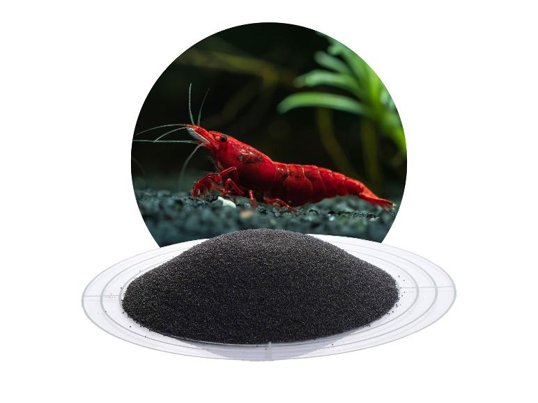 Rote Garnele im Aquarium mit schwarzem Aquariensand.