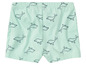 Mintgrüne Shorts mit einem Delfin-Muster.