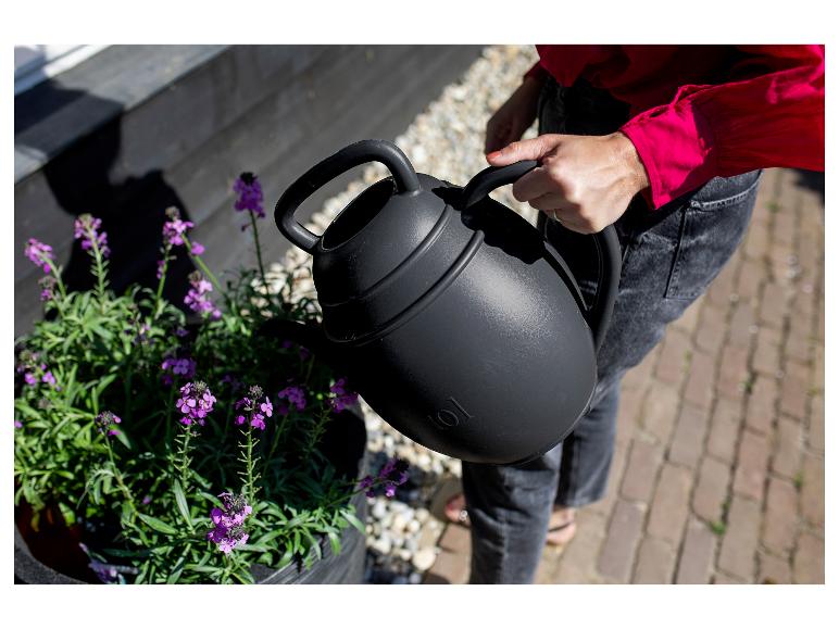 Person gießt lila Blumen mit einer schwarzen Gießkanne.