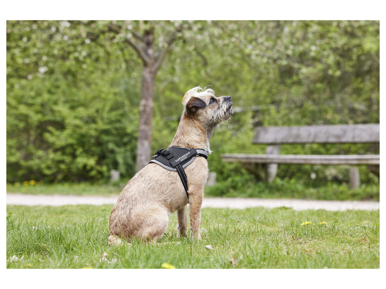 Gehe zu Vollbildansicht: zoofari® Hundegeschirr, verstellbar, austauschbare Klettsticker - Bild 8