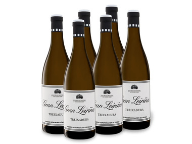 6 x 0,75-l-Flasche Weinpaket Gran Leriña Treixadura Ribeiro DO, Weißwein