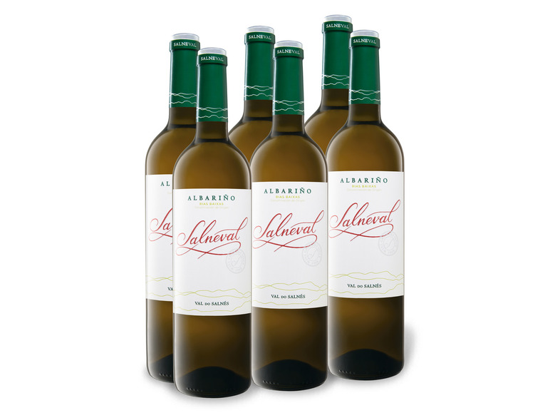 6 x 0 75-l-Flasche Weißwein Weinpaket trocken Rías Salneval DO Baixas Albarino