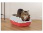 Katze in einer rot-grauen Katzentoilette auf Holzboden.