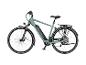 Grau-grünes City-E-Bike mit Gepäckträger und integriertem Akku.
