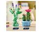 LEGO BOTANICALS Gänseblümchen-Set 11508 in einer Vase neben Kaktus 11509