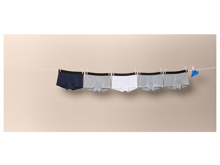 Sieben Boxershorts hängen an einer Wäscheleine.