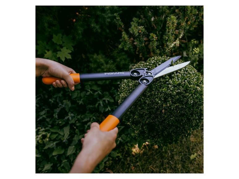 Hände schneiden eine Hecke mit einer Heckenschere mit orangefarbenen Griffen.