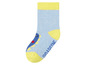 Blaue Socken mit gelben Akzenten und einem Dinosaurier-Motiv.