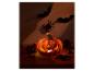 Halloween-Kürbislaterne mit Fledermäusen, Spinnen, Tannenzapfen und Herbstblättern.