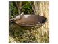 Vogeltränke mit Metallvogel-Figur, umgeben von trockenem Gras.