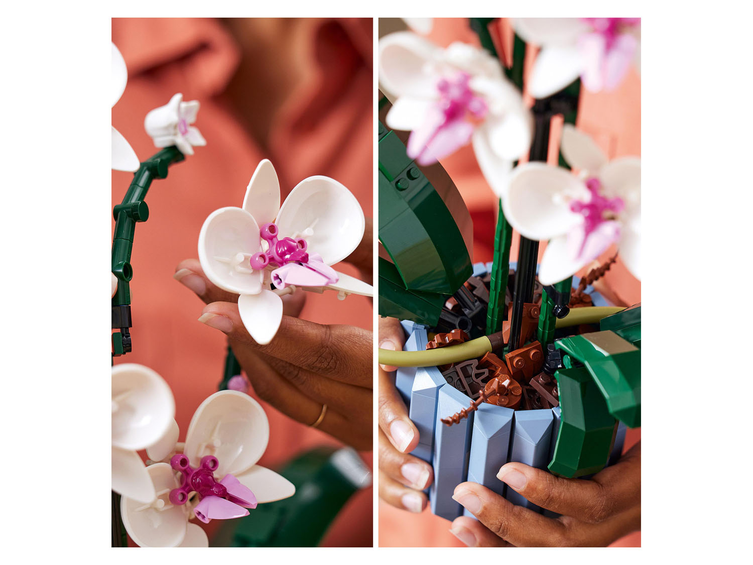 Thumbnail - LEGO 10311 »Orchidee«